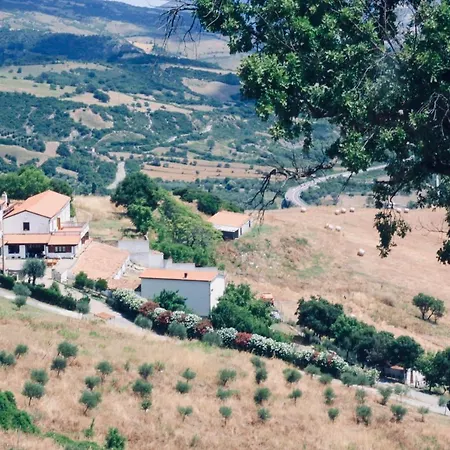 Tenuta Fortunato *
