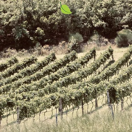 Farm stay Tenuta Fortunato Senise
